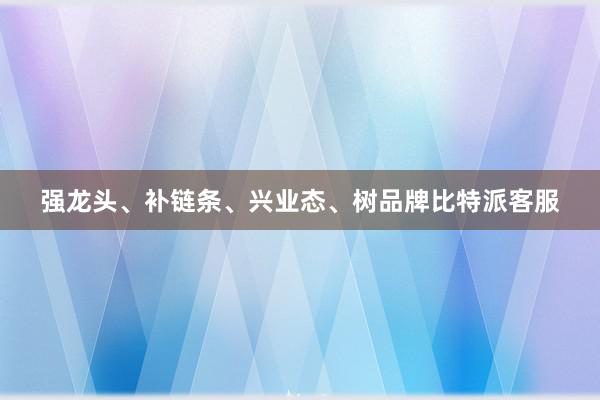 强龙头、补链条、兴业态、树品牌比特派客服