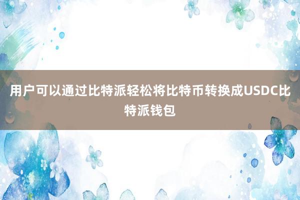 用户可以通过比特派轻松将比特币转换成USDC比特派钱包