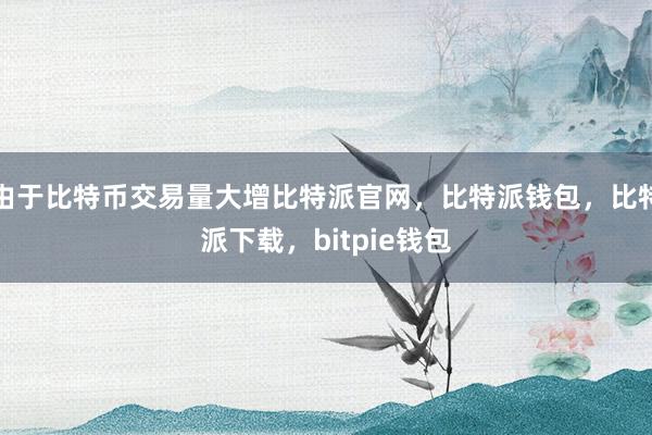 由于比特币交易量大增比特派官网，比特派钱包，比特派下载，bitpie钱包