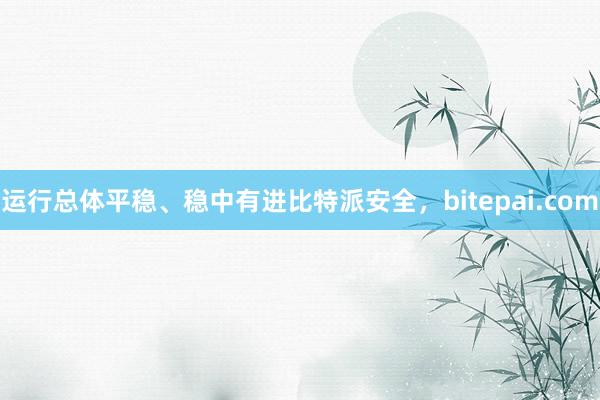 运行总体平稳、稳中有进比特派安全，bitepai.com