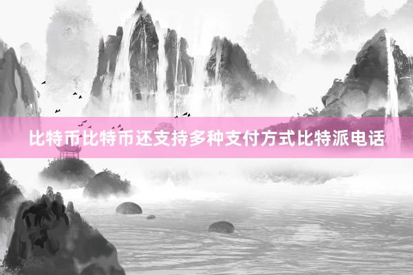 比特币比特币还支持多种支付方式比特派电话