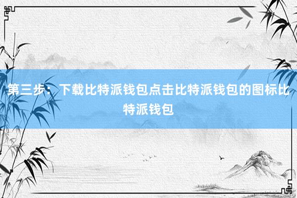 第三步：下载比特派钱包点击比特派钱包的图标比特派钱包