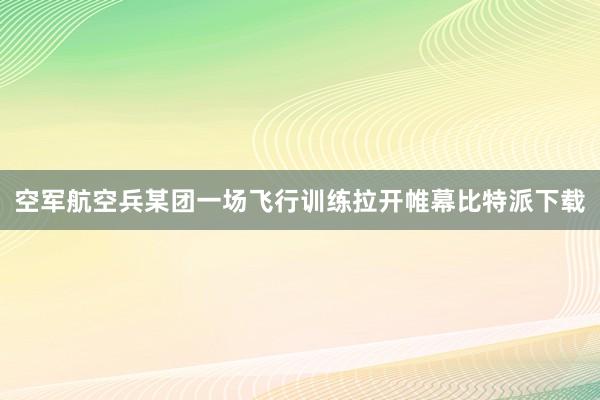 空军航空兵某团一场飞行训练拉开帷幕比特派下载