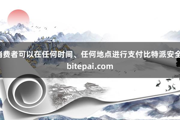 消费者可以在任何时间、任何地点进行支付比特派安全，bitepai.com