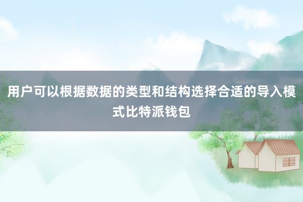 用户可以根据数据的类型和结构选择合适的导入模式比特派钱包