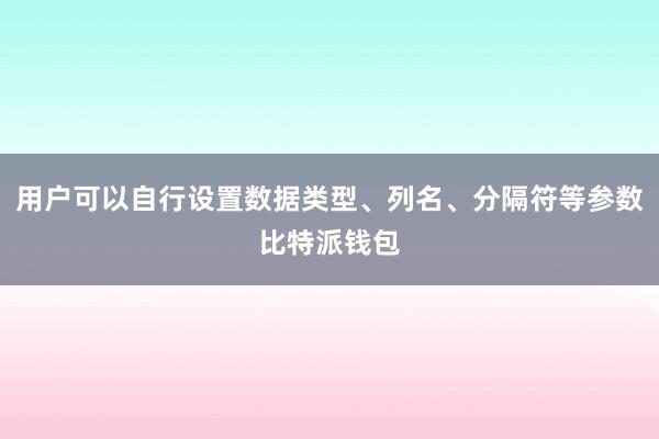 用户可以自行设置数据类型、列名、分隔符等参数比特派钱包