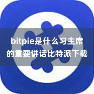 bitpie是什么习主席的重要讲话比特派下载