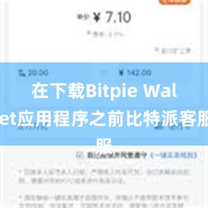 在下载Bitpie Wallet应用程序之前比特派客服