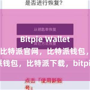 Bitpie Wallet还注重用户体验比特派官网，比特派钱包，比特派下载，bitpie钱包