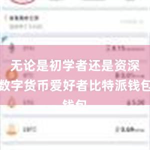 无论是初学者还是资深数字货币爱好者比特派钱包