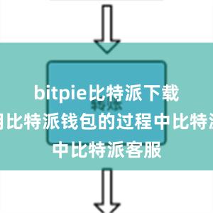 bitpie比特派下载在使用比特派钱包的过程中比特派客服