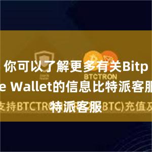 你可以了解更多有关Bitpie Wallet的信息比特派客服