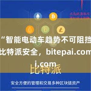 “智能电动车趋势不可阻挡比特派安全，bitepai.com