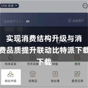 实现消费结构升级与消费品质提升联动比特派下载