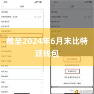 截至2024年6月末比特派钱包