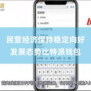 民营经济保持稳定向好发展态势比特派钱包